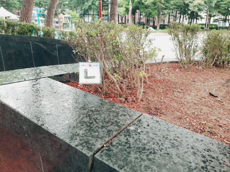 KakaoTalk_20210628_100147642_01.jpg