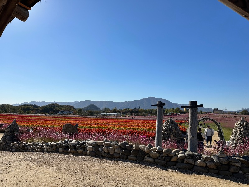 KakaoTalk_20221019_131533570_19.jpg