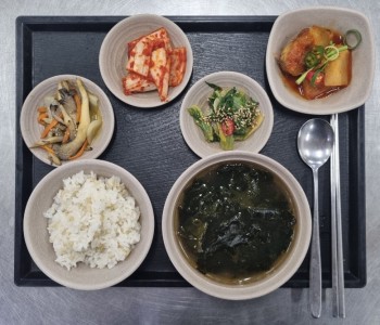 KakaoTalk_20250429_101243095.jpg