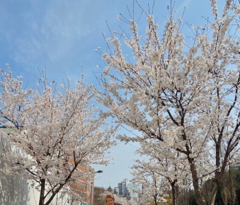 4.3 마실6.jpg