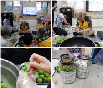 [요리활동]  매실효소 만들기 이미지