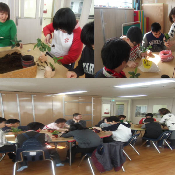 요리활동 및 원예활동 이미지