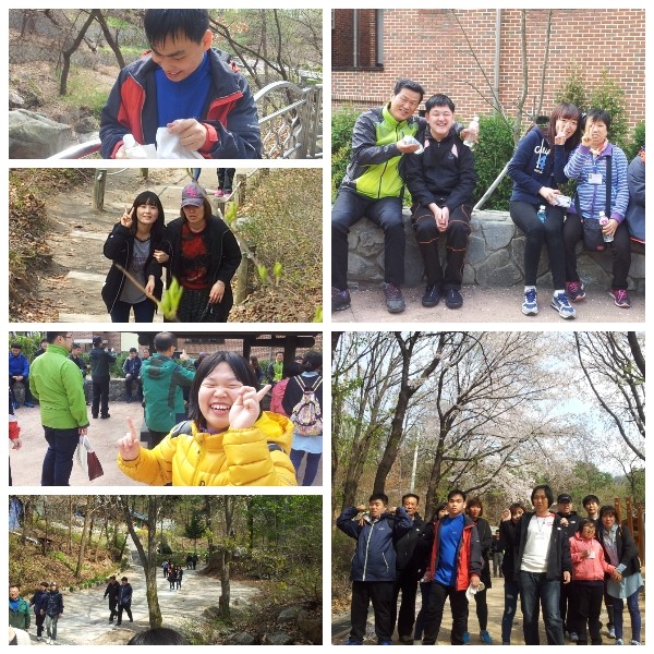 (0404)산행활동 이미지